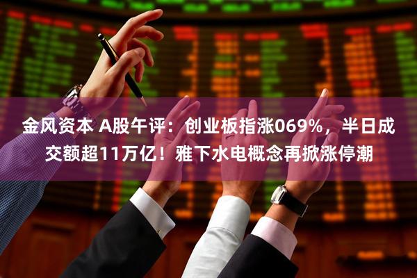 金风资本 A股午评：创业板指涨069%，半日成交额超11万亿！雅下水电概念再掀涨停潮