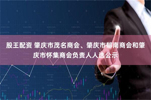 股王配资 肇庆市茂名商会、肇庆市郁南商会和肇庆市怀集商会负责人人选公示