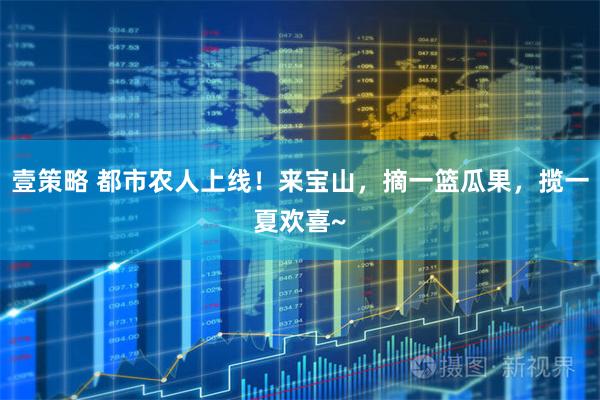 壹策略 都市农人上线！来宝山，摘一篮瓜果，揽一夏欢喜~