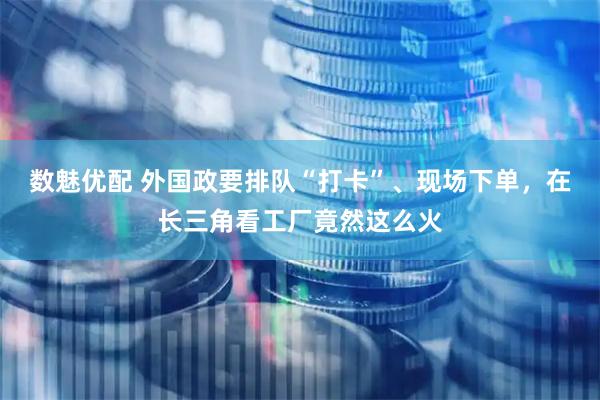 数魅优配 外国政要排队“打卡”、现场下单，在长三角看工厂竟然这么火